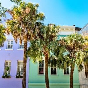 Meet your Posher, Rob